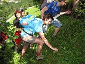 10 Fragoline di bosco